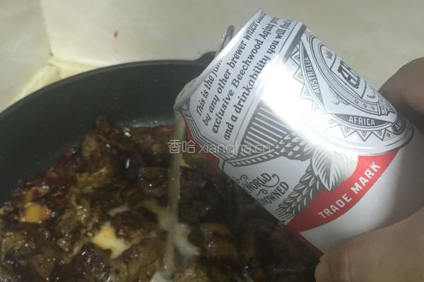 牛肉盖浇饭的做法图解4