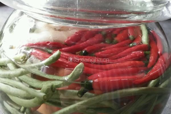 腌制泡菜的做法图解5