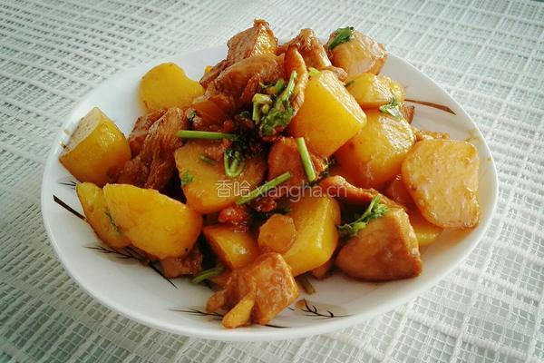 土豆炖鸡肉的做法图解6
