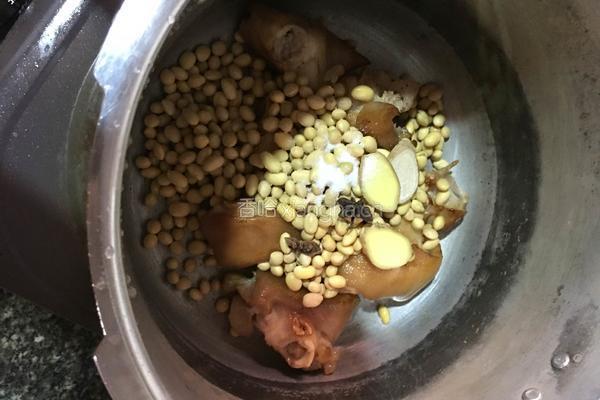 黄豆炖猪脚的做法图解6