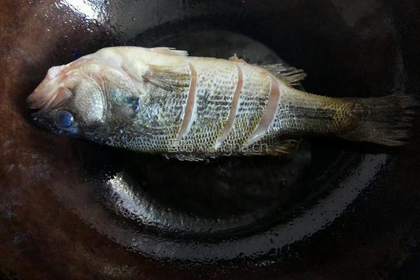 川味豆豉鱼的做法图解4