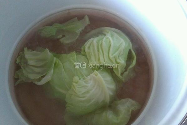 凉拌手撕圆白菜的做法图解2