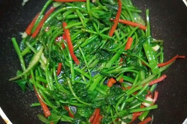 辣椒炒红番叶的做法图解3