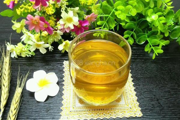 金银花露的做法图解6