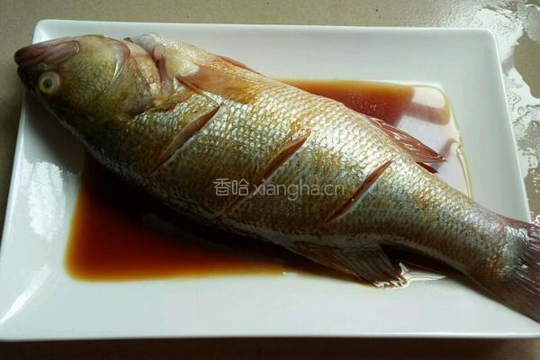 豉汁蒸鱼的做法图解5