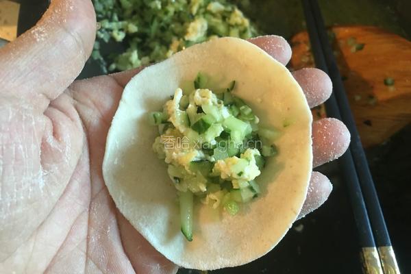黄瓜鸡蛋水饺的做法图解8