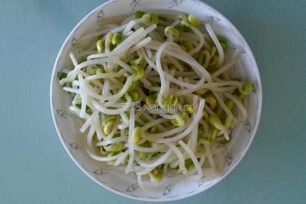 清炒黄豆芽的做法图解2
