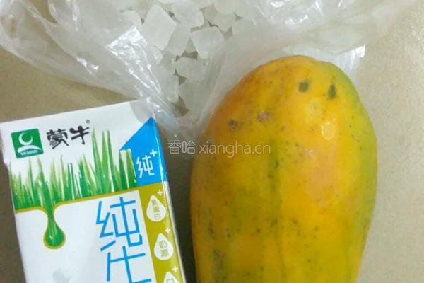 牛奶炖木瓜的做法图解1
