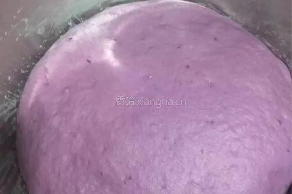 南瓜紫薯馒头的做法图解6