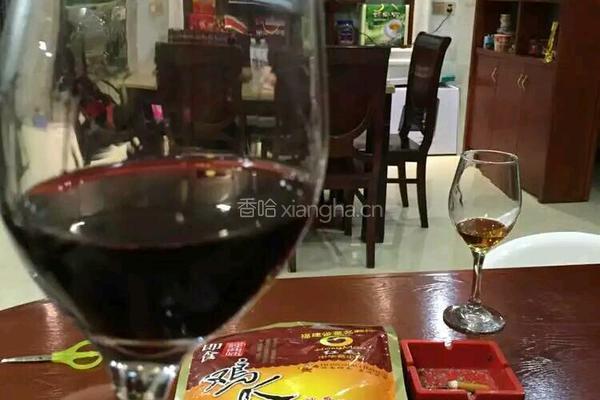 自晾葡萄酒的做法图解4