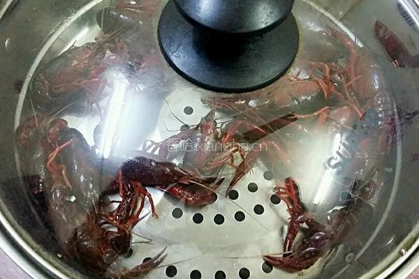 清蒸小龙虾的做法图解4