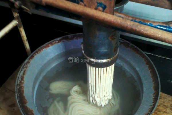 饸饹的做法图解4