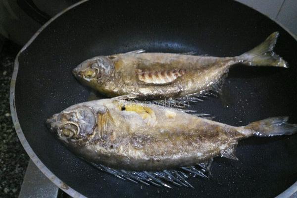 黄豆酱焖泥猛鱼的做法图解4