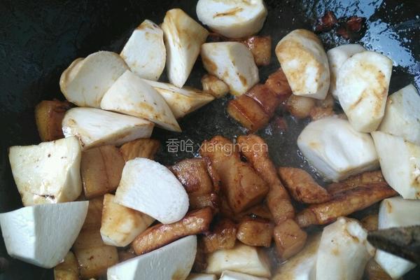 杏鲍菇红烧肉的做法图解4