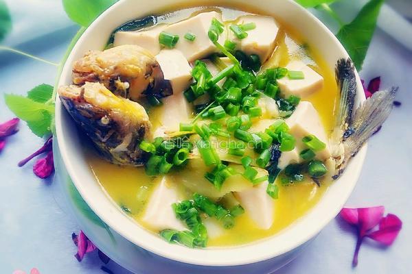 黄骨鱼豆腐汤的做法图解9