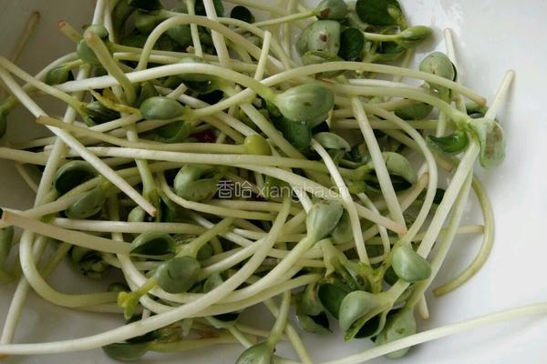 青豆苗炒肉的做法图解3
