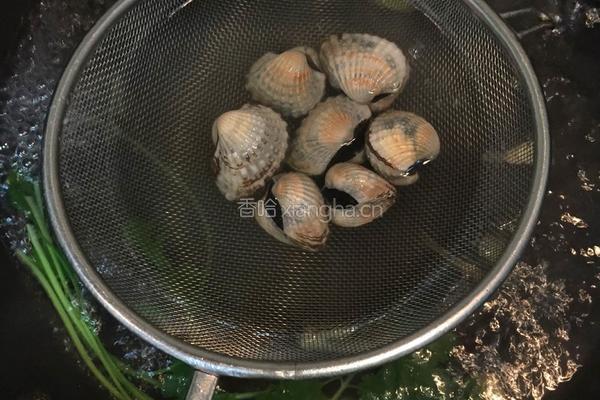 白灼血蛤的做法图解5