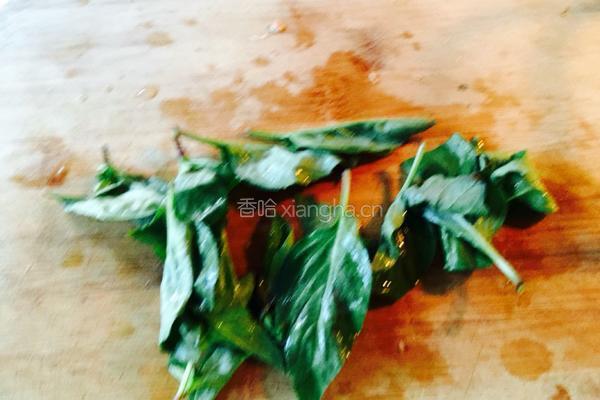 海鲜意面的做法图解8