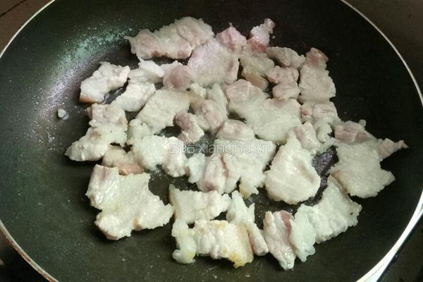 紫甘蓝炒肉的做法图解3