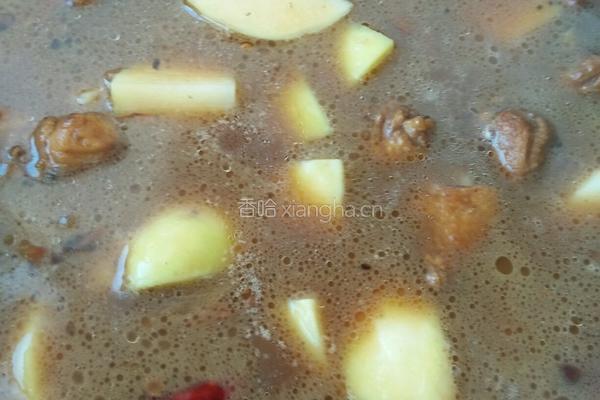 鸡块炖土豆的做法图解8