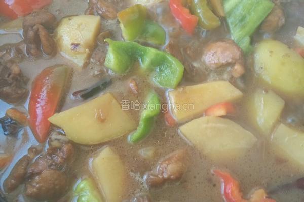 鸡块炖土豆的做法图解9