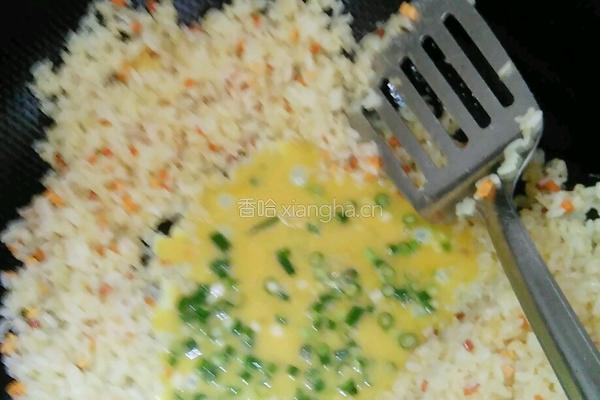 绿豆芽蛋炒饭的做法图解12