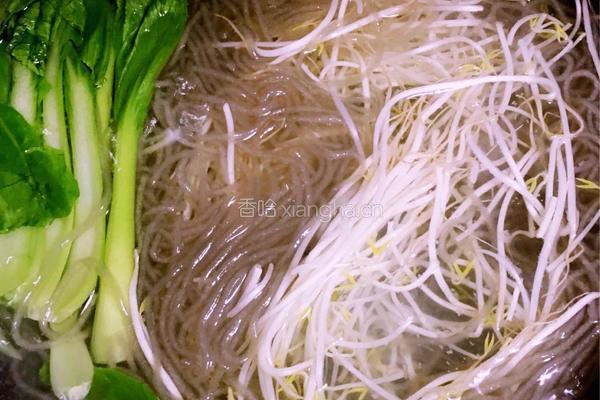 砂锅粉的做法图解5
