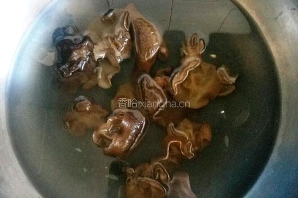 白菜木耳饺子的做法图解4