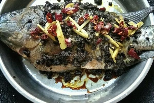 炖煮罗非鱼的做法图解7
