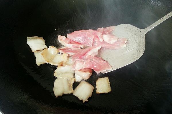鸡腿菇炒肉片的做法图解3