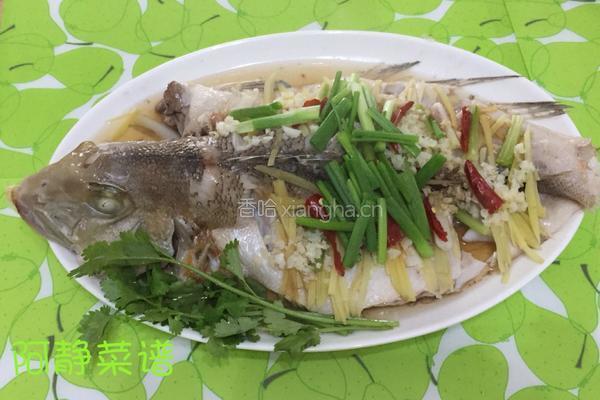 清蒸马头鱼的做法图解7