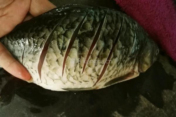 青菱鲫鱼豆腐汤的做法图解3