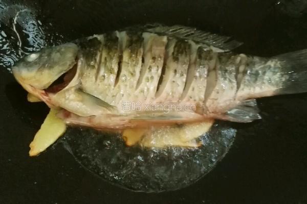 青菱鲫鱼豆腐汤的做法图解10