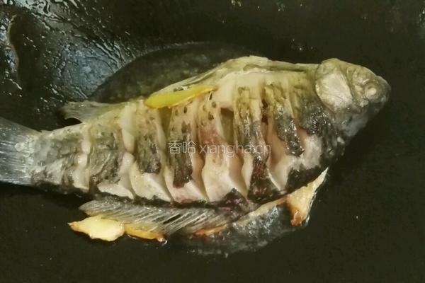 青菱鲫鱼豆腐汤的做法图解11