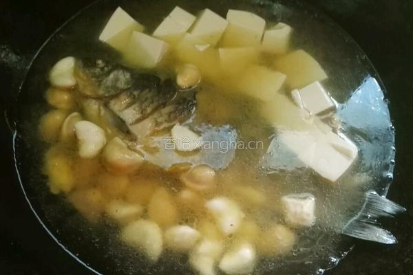 青菱鲫鱼豆腐汤的做法图解14