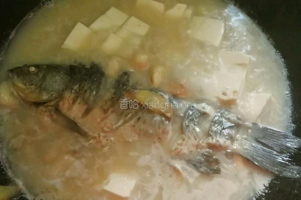 青菱鲫鱼豆腐汤的做法图解17