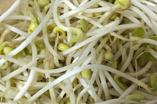 牛肉炖豆牙的做法图解10