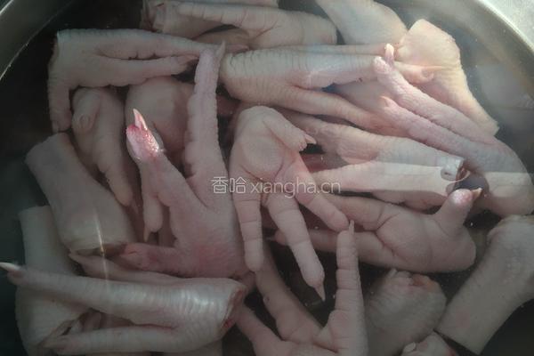 鸡爪子的做法图解1
