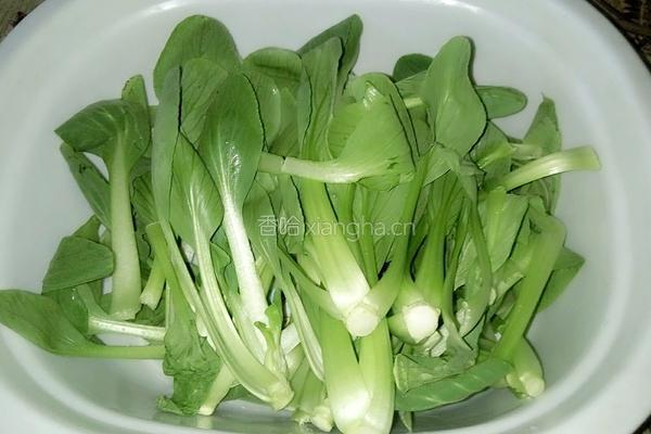 蒜香小青菜的做法图解1