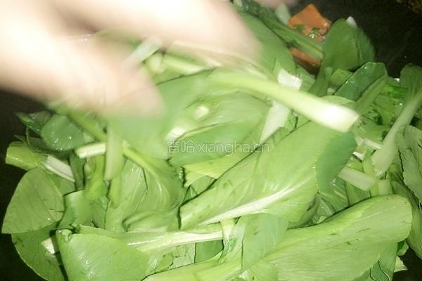 蒜香小青菜的做法图解4