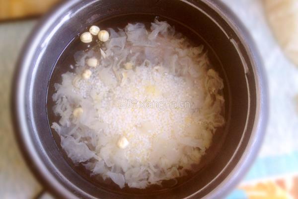 冰糖雪梨银耳粥的做法图解7