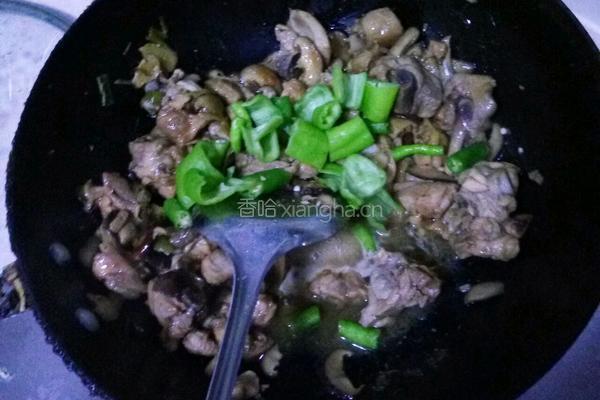 香菇鸡肉的做法图解10