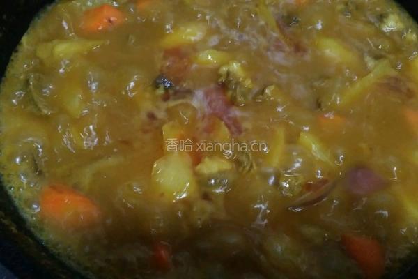 咖喱土豆炖牛腩的做法图解16