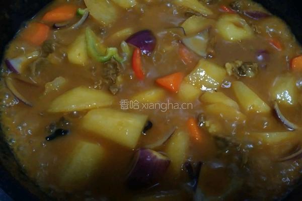 咖喱土豆炖牛腩的做法图解18