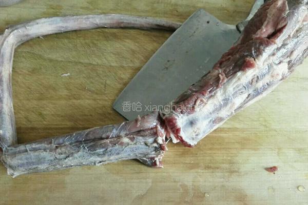 番茄牛尾汤的做法图解1