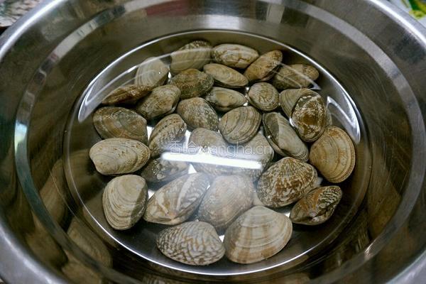 蛤蜊汆鲫鱼的做法图解2