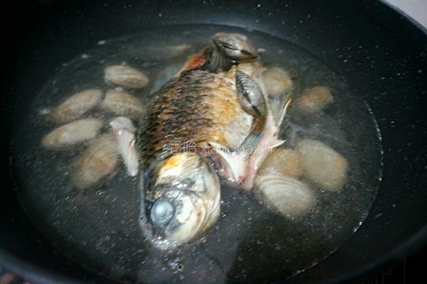 蛤蜊汆鲫鱼的做法图解7