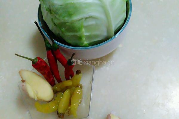 泡椒包菜的做法图解1