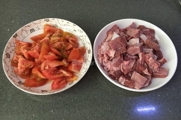 西红柿牛腩的做法图解3