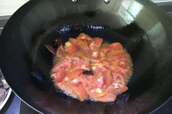 番茄土豆炖牛肉的做法图解7